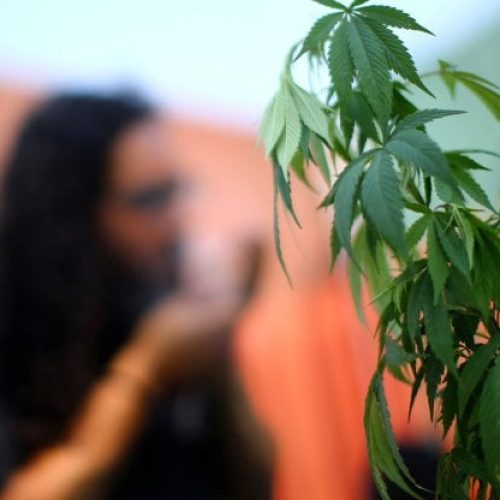 L’Onu: “Via la cannabis dalla lista delle sostanze dannose”