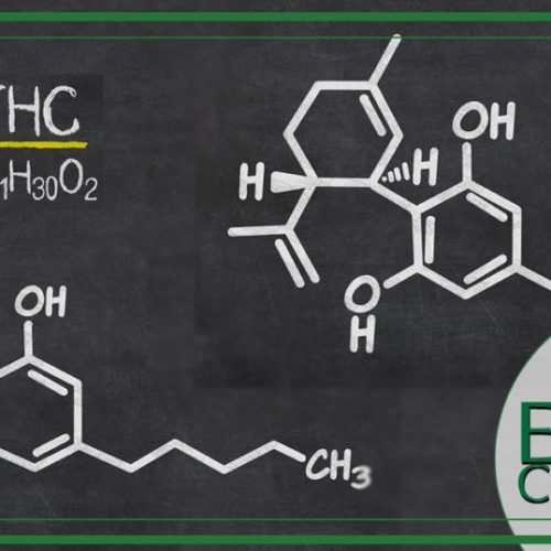 CBD vs THC: quali sono gli effetti del CBD?