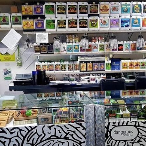 Vedere cannabis light non è un reato: la sentenza del giudice