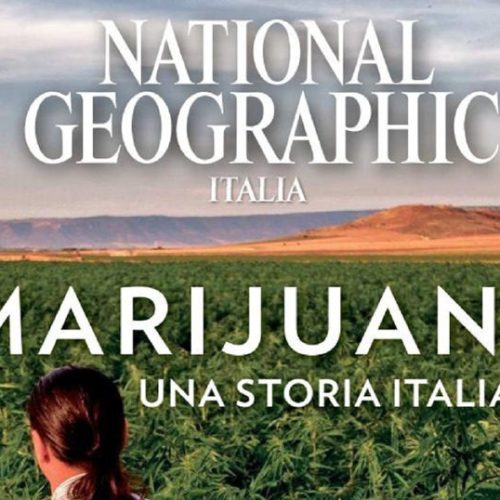 Marijuana: una storia italiana – Articolo del National Geographic Italia