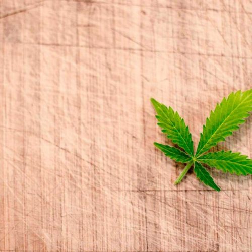 Festeggia con noi la legalizzazione della canapa light!