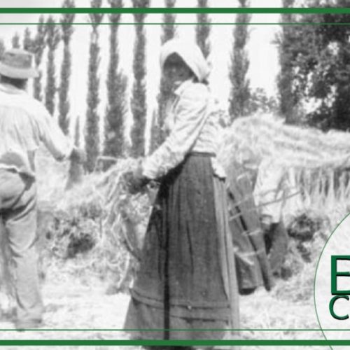 Breve storia della Canapa in Italia