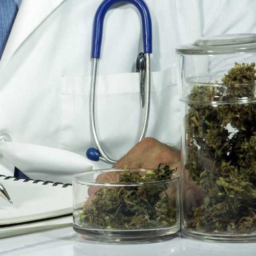 THCB 33 VOLTE Più FORTE DEL THC CBD CANAPA SATIVA erbadicalabria.it